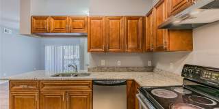13015 SANCTUARY COVE DRIVE Gallery 14