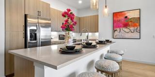 The Emory Gallery 16