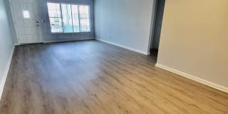 2429 Ecuadorian Way Gallery 18