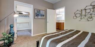 Summit Pointe Gallery 18