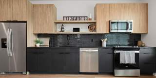 The Scottie Gallery 28