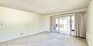 SPACIOUS STUDIO w/ LANAI & Washer/Dryer INSIDE unit - AVAILABLE NOW in MAKIKI - Conveniently Located! Gallery 1