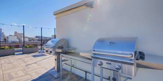 Belvedere Gallery 22