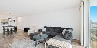 1050 Hillsboro Mile Gallery 13