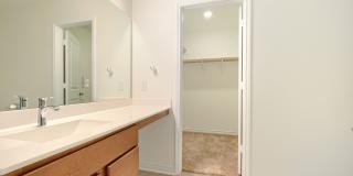 4519 GATO CALICO DR Gallery 14