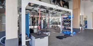 The Pacific Gallery 15