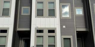 14 Walnut Street Gallery 1