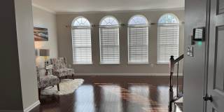 4619 FOREST PINES Drive Gallery 5