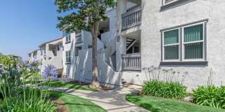 Aspire Corona Gallery 1