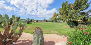 2791 W Casas Circle Gallery 34