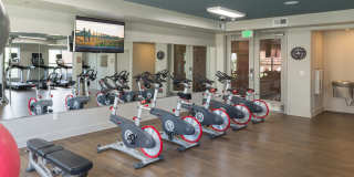 The Victor Stonebridge Gallery 10