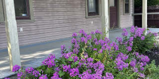 153 Punta Alley Gallery 1