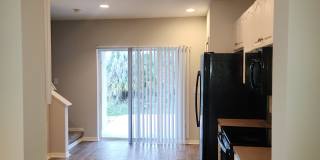 15702 Fishhawk Falls Dr Gallery 7