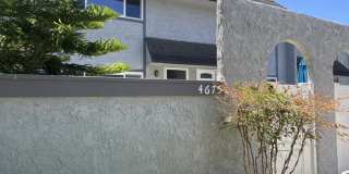 4675 Twintree Drive 4675 Twintree Drive Gallery 1