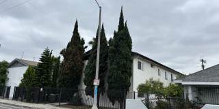 Exposition Blvd Gallery 1