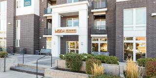 Moda Newhouse Moda Newhouse Gallery 6