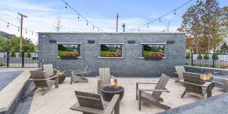 Canter Green Gallery 45