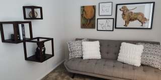 Woods of Castleton Gallery 2