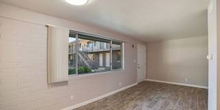 The Spot on 5th Gallery 19