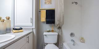 The Clara The Clara Gallery 13