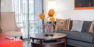 Willow Springs Gallery 14