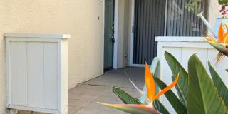 5473 Spanish Oak Ln Gallery 2