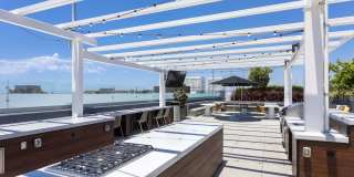 Elements Gallery 113