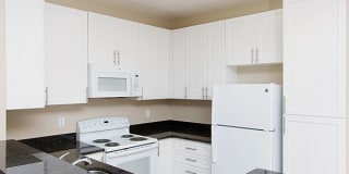 Woodland Meadow Gallery 7