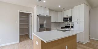 Stylishly Remodeled Home, Two Primary Suites and Unbeatable South Austin Location! Gallery 6