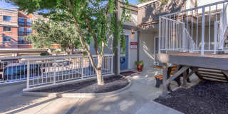 The Boulevard Gallery 12