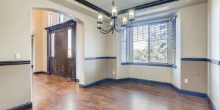 1696 Avenida Del Sol, Castle Rock, CO Gallery 6