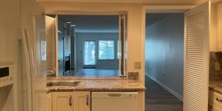 Lakeview Condo Available | Directly Across from Lake Hollingsworth Gallery 4