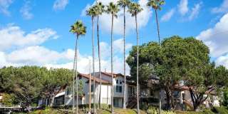 4095 Rosenda Court unit: 249 Gallery 1