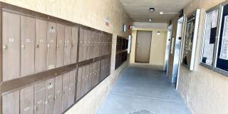 2617 COVE CAY DRIVE Gallery 26