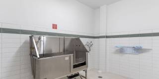 Acclaim at Cary Pointe - 62+ Active Adult Gallery 54