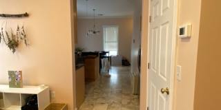 387-389 Angell Gallery 16