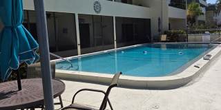 TREASURE ISLAND WATERFRONT CONDO Gallery 20
