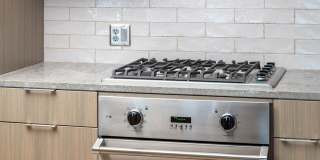 The Merian Gallery 30