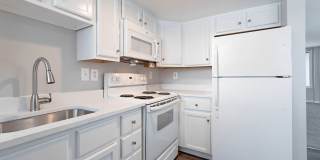 Renaissance Club Gallery 3