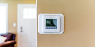 Paugus Woods Gallery 20