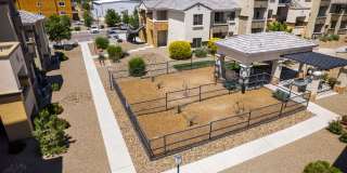 Olympus Alameda Gallery 42