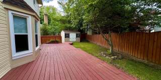 7827 BOLD LION Lane Gallery 28