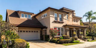 7 Camellia Gallery 1