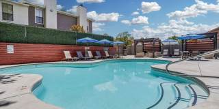 Telegraph Hill Gallery 11