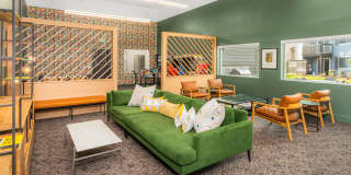 Canopy Gallery 35