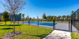 Dream Winter Haven Gallery 13