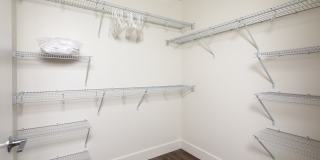 Azara Gallery 45