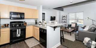 9 on Canal Gallery 21