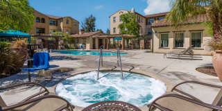 Paseos At Magnolia Luxury Apartment Homes Gallery 5