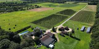 4782 Alvah's Lane Gallery 35